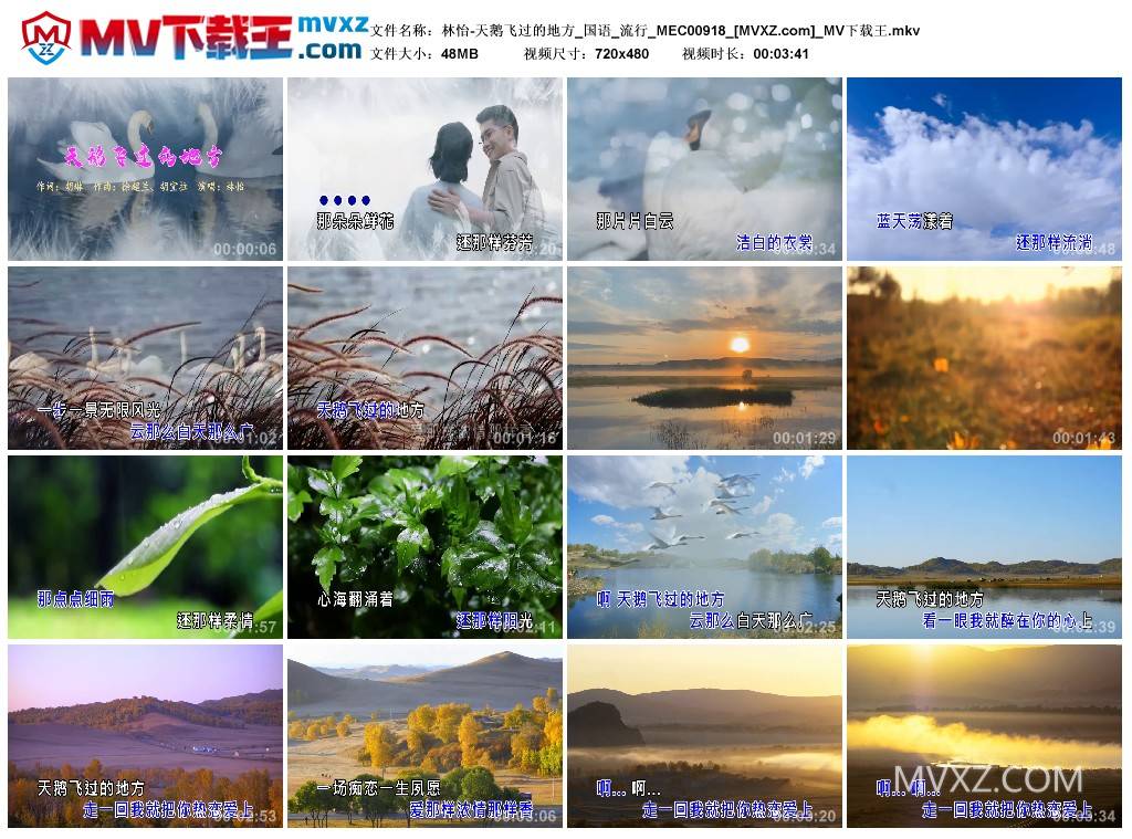 林怡-天鹅飞过的地方_国语_流行_MEC00918